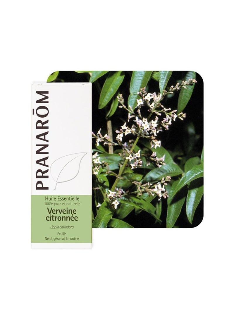 PRANAROM Pranarôm Essential Oil Lemony Verbena (Lippia citriodora) 5 ml - Image 3